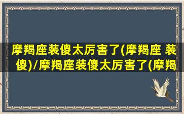 摩羯座装傻太厉害了(摩羯座 装傻)/摩羯座装傻太厉害了(摩羯座 装傻)-我的网站